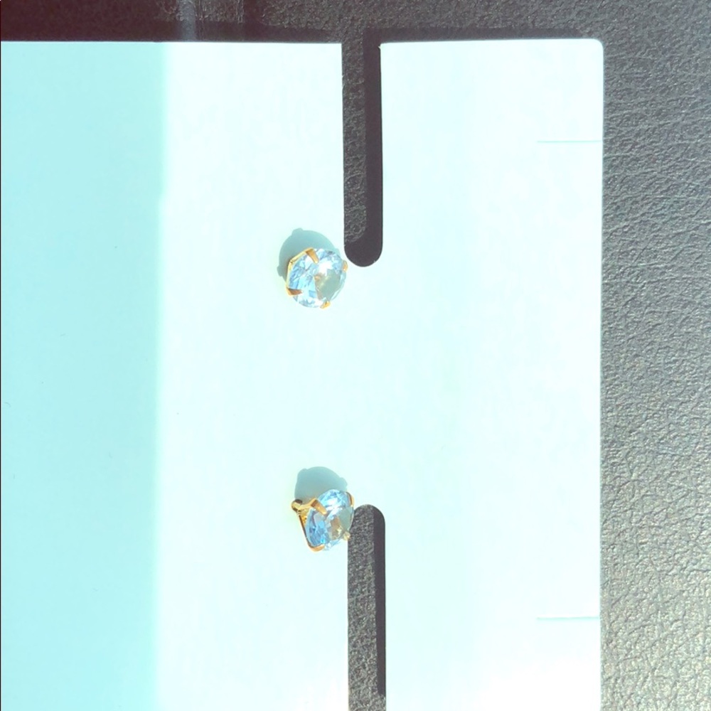 Tsutsumi Earnings